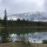 Dylan Steele - @dylansteele71 - Instagram