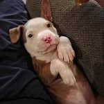 Dylan Strait - @dylan_spams_7 - Instagram