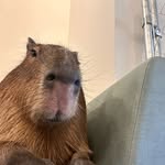 Filmmaker - @straw.hat.dylan - Instagram