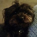 Dylan - @_dylan_stringer_ - Instagram