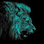 Dylan Studer - @studerdylan - Instagram