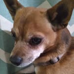 Dylan Stultz - @stultzdylan - Instagram