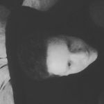 dylan sturm - @sturm_dylan - Instagram