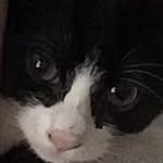Dylan Talbot - @dylantalbot1 - Instagram