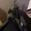 dylantalbot715 - @dylantalbot715 - TikTok