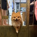 Dylan Tang - Facebook