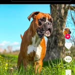 @dylan_tartaglione7201 - Instagram