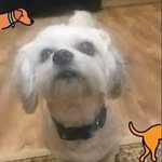 Dylan Tavares - @dylan.tavares.735 - Instagram
