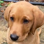 Dylan Teasdale - @dteasdale2 - Instagram