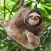 dylanthacker1234 - @dylanthacker1234 - TikTok
