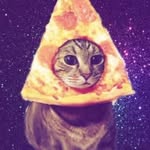 Dylan Thao - @maltese_2525 - Instagram