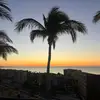 dylan the goat - @dylan.the.goat4 - TikTok