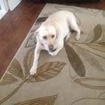 Dylan Thomason - @thomason_dylan - Instagram
