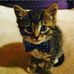 Dylan Thomson - Facebook