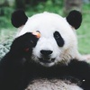 Dylan Tian - @dylantian42 - TikTok