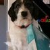 Dylan Tomlin - Facebook
