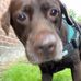 Dylan Tomlin - Facebook