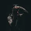Dylan Tomlinson - @dmtphotography - TikTok
