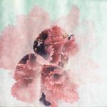 D Y L A N  T O O M B S - @dylanmtoombs - Instagram