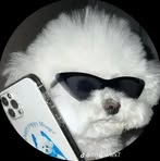 Dylan Toto - Facebook