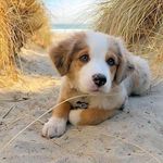 Dylan tovey - @dylan_tovey - Instagram