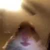 Dylan2trappy - @dscales2004 - TikTok