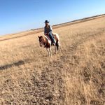 Dylan Trapp - @trapp_dylan - Instagram