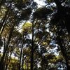 Dylan Tsai - @30200070017 - TikTok