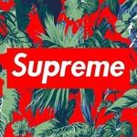 dylan tuthill - @dylan_5148 - Instagram