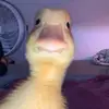 Dylan Valdez - @dylanvaldez04 - TikTok