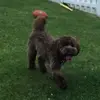 Dylan Vincent - @dylan.vincent35 - TikTok