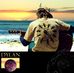 Dylan Wade - Facebook
