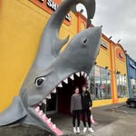 Dylan Watson - @notdylanwatson - Instagram