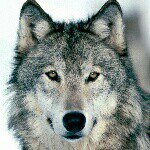 dylan waugh - @dylan_309 - Instagram
