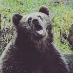 dylan kale whiting - @dylan_whiting - Instagram