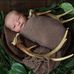 Dylan Witmer - Facebook