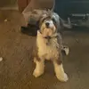 Dylan Wirth - @dlw_4210 - TikTok
