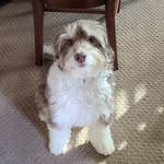 Dylan Wirth - @dylan_wirth2332 - Instagram