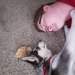 Dylan Wirth - @wirthless702 - Instagram