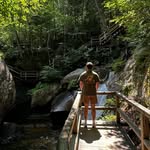 Dylan Wolf - @dylanjwolf - Instagram