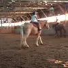 Dylanwoolard - @teresa383632 - TikTok