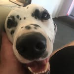 Dylan Wrench - @wrenchdylan - Instagram