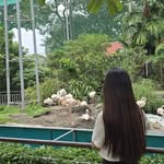 Cobemuontrothanhbienkich - @dzi.nguyen199 - Instagram