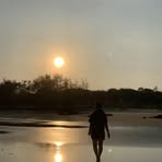 Dzi Nguyễn - Facebook