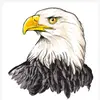 Eaglechudhary 🦅 - @eaglechudhry - TikTok