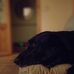 Eamonn Hurley - Facebook