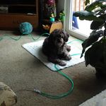 Earl R Arnold - @earl.arnold.56 - Instagram