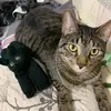 Bean.Earl - @bean.earl - TikTok