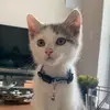 Earl Bean - @earlbean - TikTok