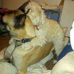 Earl Bemis - @earlbemis - Instagram